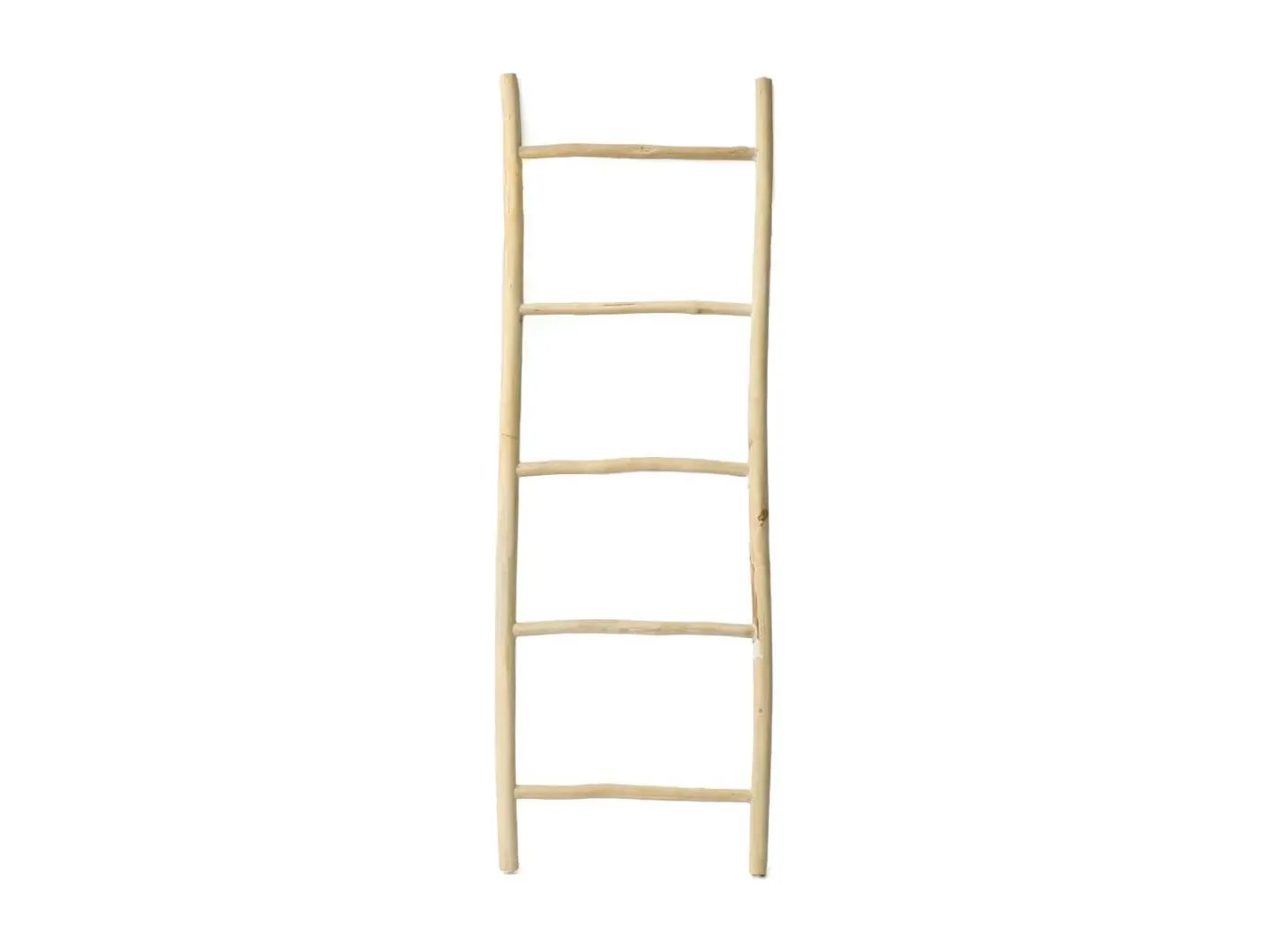 Der Tulum Leiter - Natur - 165