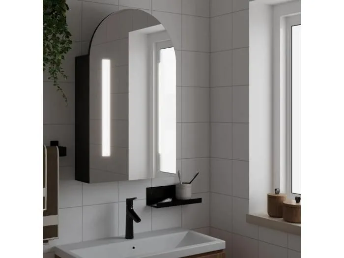 Spiegelschrank mit LED-Beleuchtung Gewölbt Schwarz 42x13x70 cm