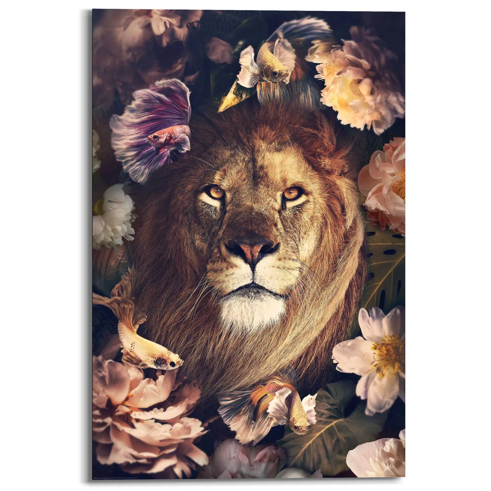 Bild JUNGLE LION 614287