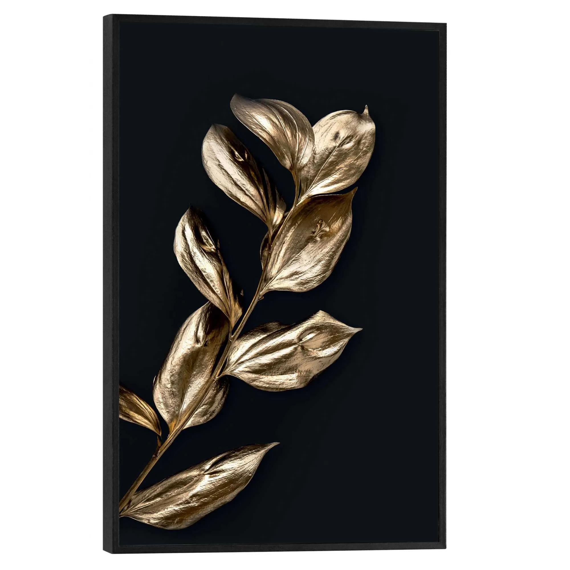 Bild LITTLE LEAFS 614303