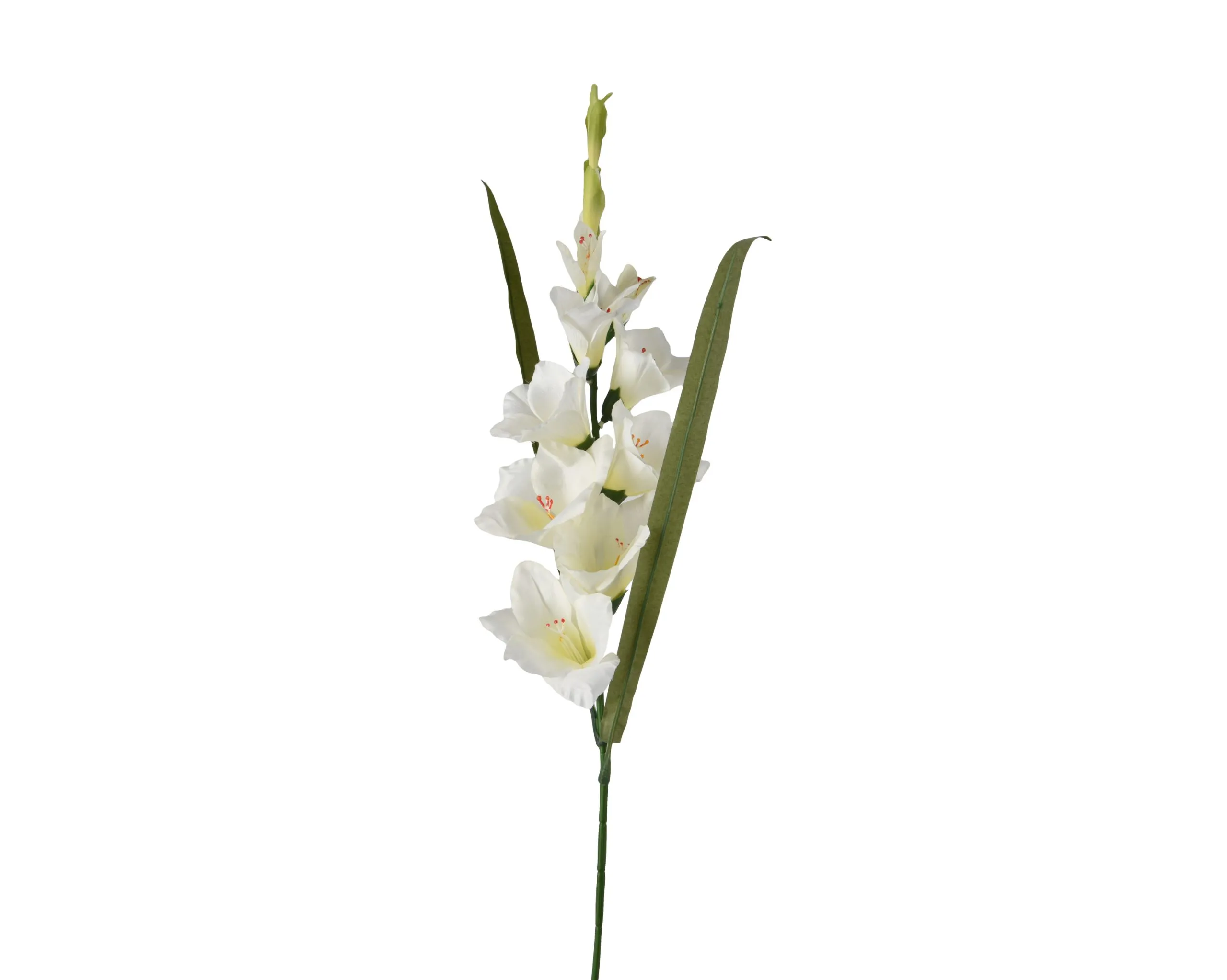 Kunstblume GLADIOLUS 618271