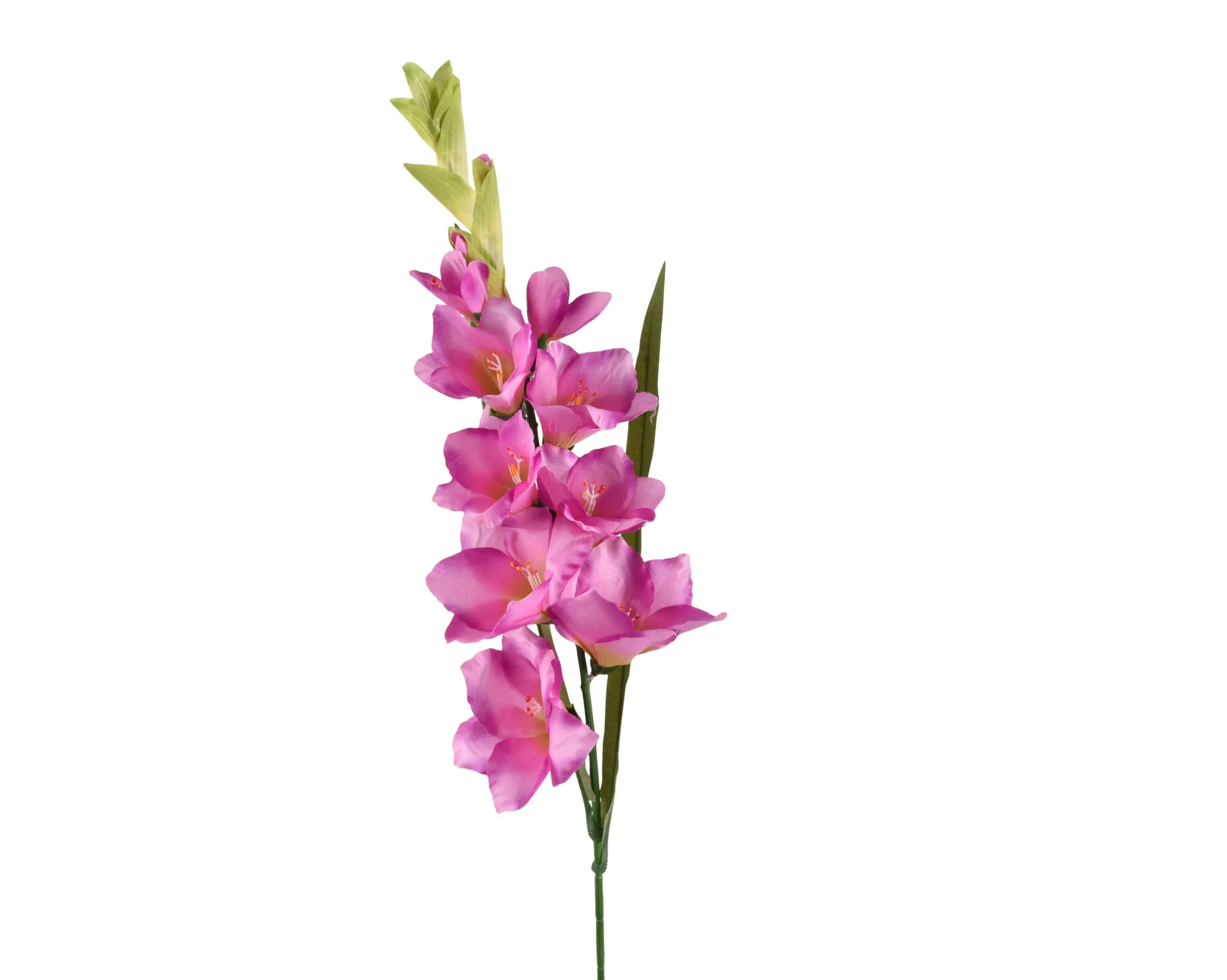 Kunstblume GLADIOLUS 618273