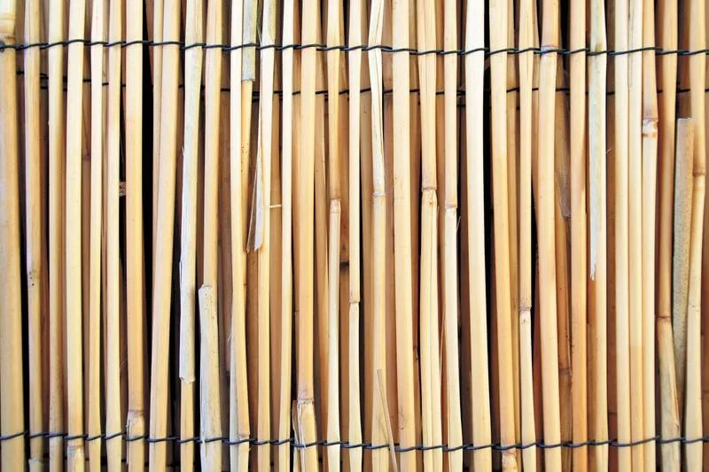 BRB Slim - Sichtschutzmatte aus Schilfrohr | Schilfrohrmatte | Gartensichtschutz für Garten und Balkon aus Schilfrohr | Höhe 1 m | Länge 5 m | HxL: 1x5 m