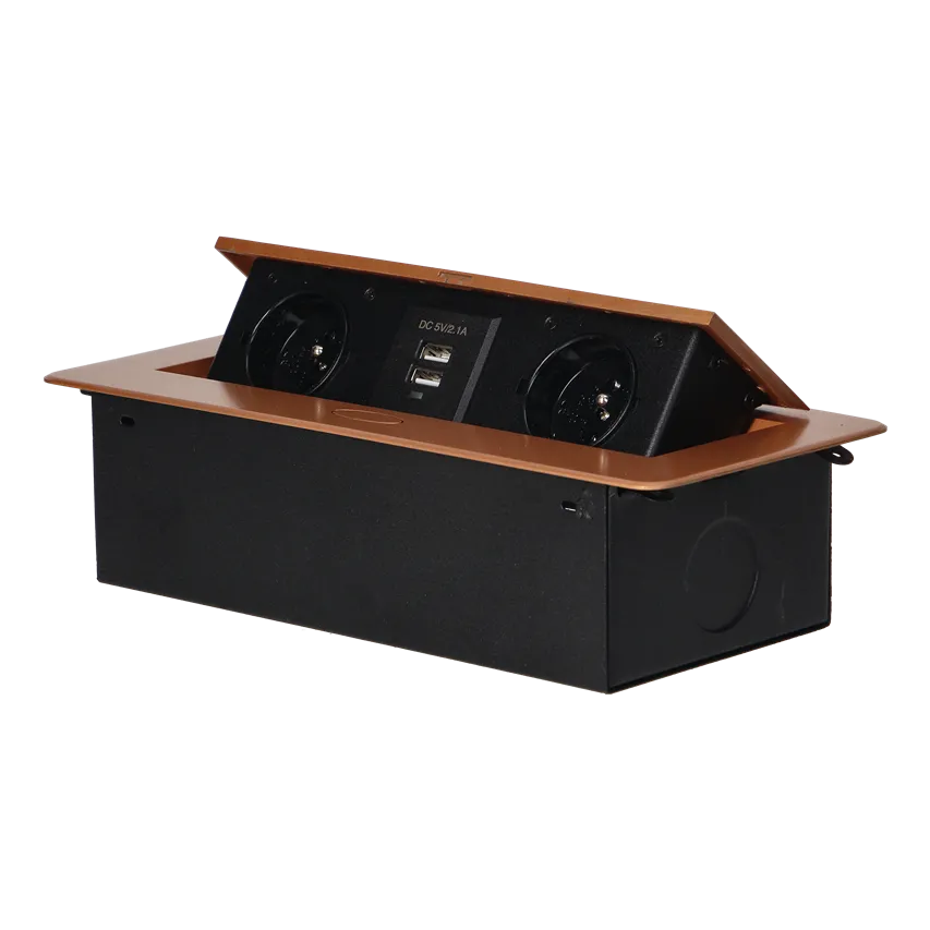Einbaubuchse mit flach gefrästem Rand und USB-Ladegerät, 2x2P+Z, 2xUSB (Typ A, 2,1A), gold