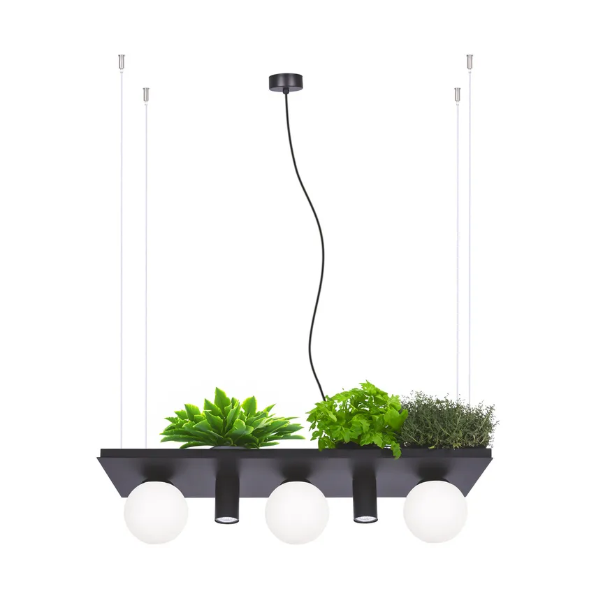 Schwarze Hängeleuchte 3x E14 und 2x GU10 MAX LED 10W 5555 PLANT SHELF