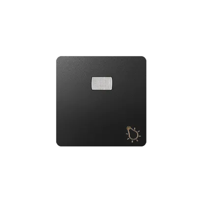 Wippe 1fach Aufdruck "Licht" für Schalter/ Taster mit LED graphit matt Kontakt Simon 82 82016-38