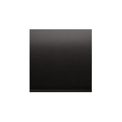 Wippe für Schalter/Taster anthrazit matt Simon 54 Premium Kontakt Simon DKW1/48