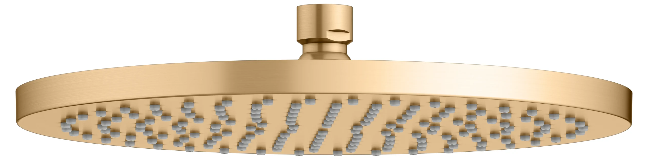 Brausen und Brausezubehör Kopfbrause rund 250 mm Messing gebürstet